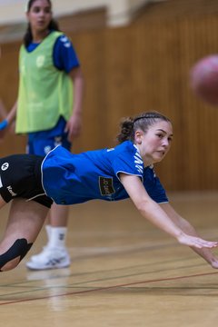 Bild 200 - wBJ TSV Ellerau - HSG Stoertal Hummeln : Ergebnis: 26:19